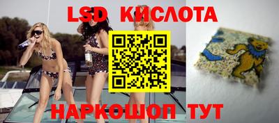 молекула духа Боровичи