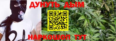 шишки Брянск