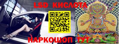 шишки Брянск
