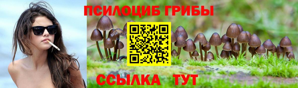 Галлюциногенные грибы прущие грибы Богданович