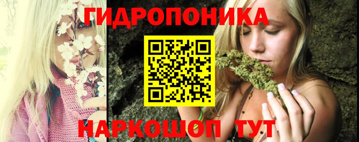 Конопля индика  Бошки марихуана VHQ  Богданович  Вход с VPN 