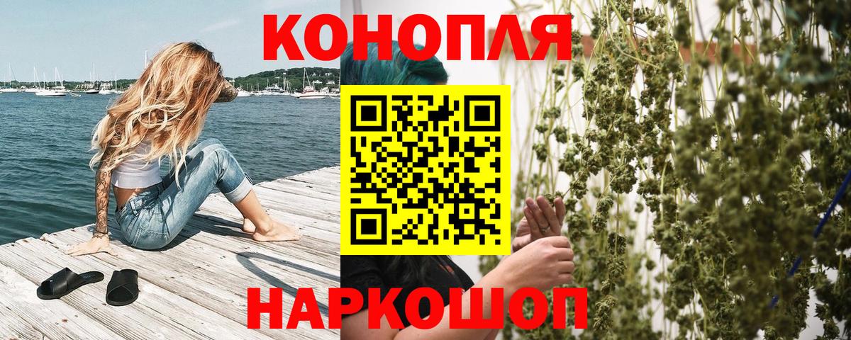 Канабис OG Kush Богданович